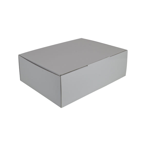 A4 Mailing Box 100mm High