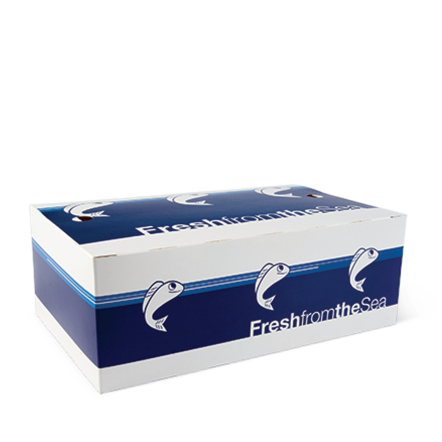 FISH & CHIP BOXES - Assorted Sizes - PackQueen