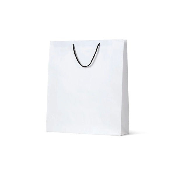 Large Deluxe Brown Kraft Paper Gift Bag - 250 PACK - PackQueen